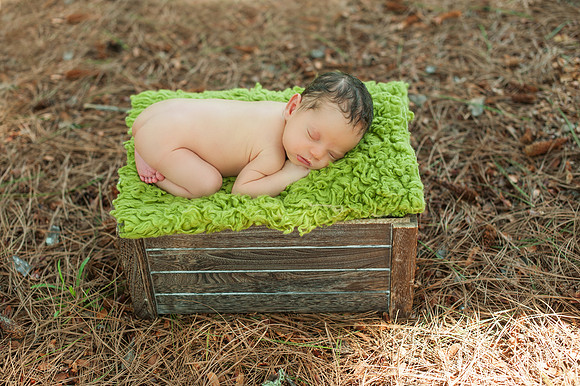 View More: http://kfabphoto.pass.us/marley