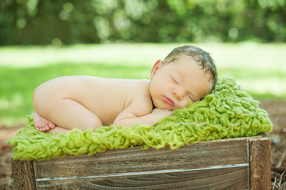 View More: http://kfabphoto.pass.us/marley