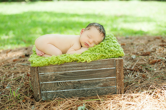 View More: http://kfabphoto.pass.us/marley